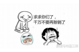 抚远融资清欠服务