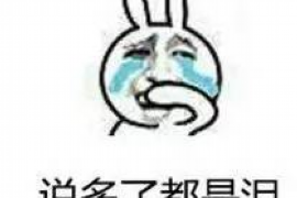 抚远企业清欠服务